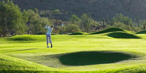 person playing golf